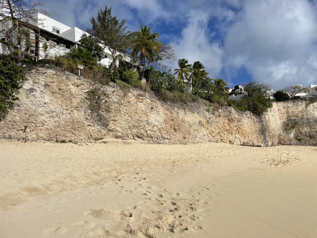 purge-minage-reprofilageIMG_3007 - Grande